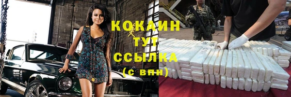 бошки Дмитров