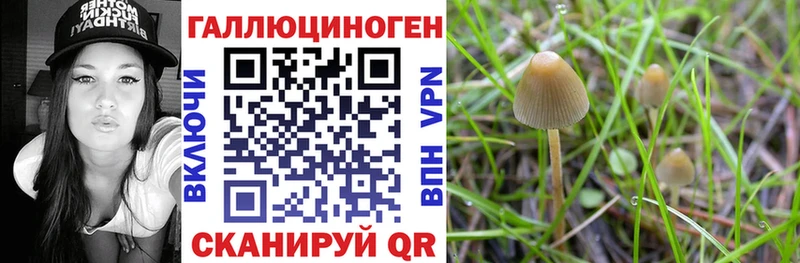 Галлюциногенные грибы Psilocybine cubensis  блэк спрут ССЫЛКА  Ковдор 